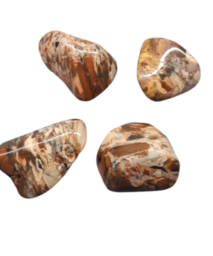 Cappuccino Jasper Large