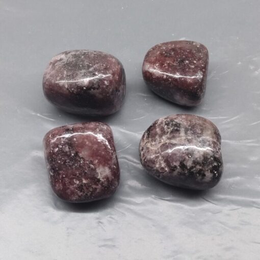 Lepidolite Large 20-30mm