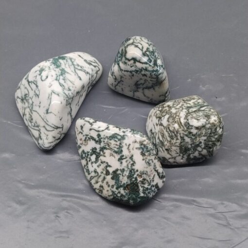 Tree Agate X-Large 25-35mm